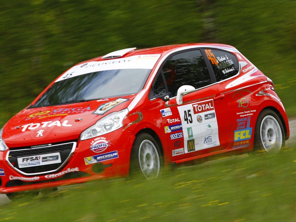 Peugeot 208 R2 - Rallye du Limousin - 208 Rally Cup France 2013 - 018