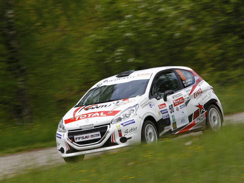 Peugeot 208 R2 - Rallye du Limousin - 208 Rally Cup France 2013 - 023