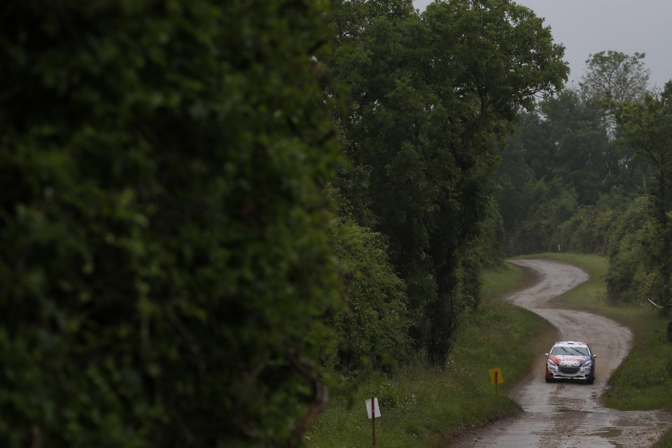 Peugeot 208 R2 - Rallye Terre de Langres - 208 Rally Cup France 2013 - 017