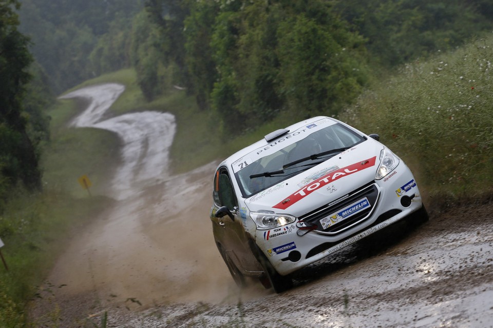 Peugeot 208 R2 - Rallye Terre de Langres - 208 Rally Cup France 2013 - 027