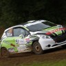 Peugeot 208 R2 - Rallye Terre de Langres - 208 Rally Cup France 2013 - 029