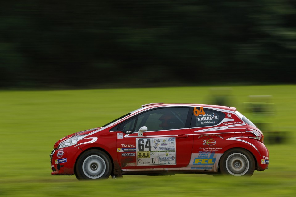 Peugeot 208 R2 - Rallye Terre de Langres - 208 Rally Cup France 2013 - 033