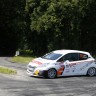 Peugeot 208 R2 - Rallye du Mont Blanc - 208 Rally Cup France 2013 - 055