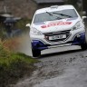 Peugeot 208 R2 - Rallye du Condroz - 208 Rally Cup France 2013 - 001 - <br />31 MARTIN Charles - DEVOS Romain - Peugeot 208 VTI - ACTION