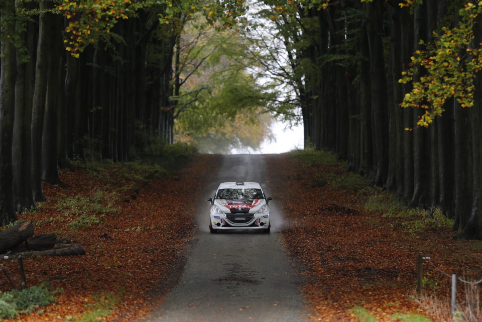 Peugeot 208 R2 - Rallye du Condroz - 208 Rally Cup France 2013 - 028 - 
30 MILLET Denis - DUVAL Guillaume - Peugeot 208 VTI - ACTION