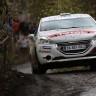 Peugeot 208 R2 - Rallye du Condroz - 208 Rally Cup France 2013 - 045 - <br />MARC DUEZ