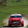 Peugeot 208 R2 - Rallye Terre des Causses - 208 Rally Cup France