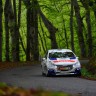 Peugeot 208 R2 - Rallye du Limousin - 208 Rally Cup France 2014