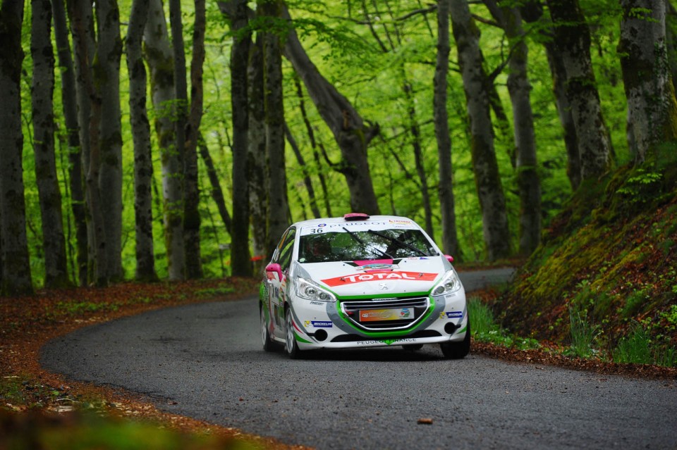Peugeot 208 R2 - Rallye du Limousin - 208 Rally Cup France 2014