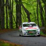 Peugeot 208 R2 - Rallye du Limousin - 208 Rally Cup France 2014