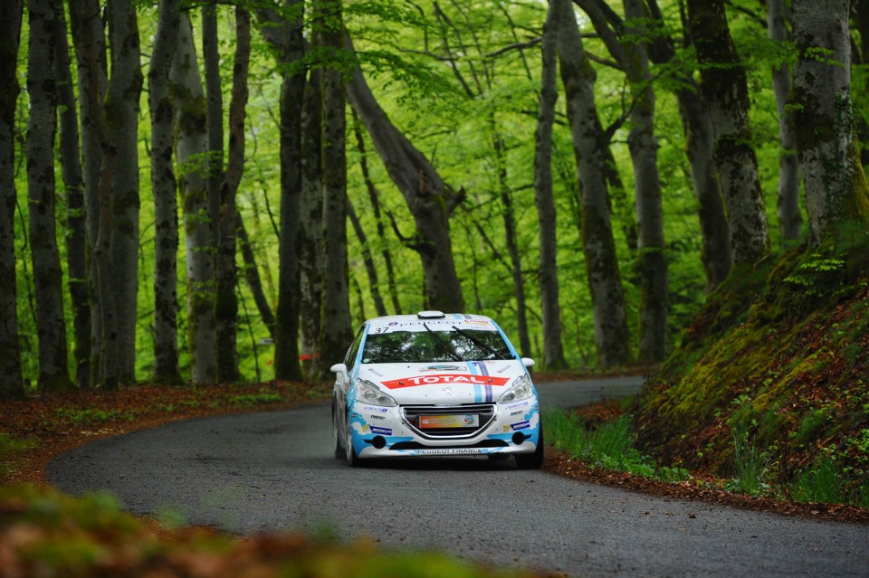 Peugeot 208 R2 - Rallye du Limousin - 208 Rally Cup France 2014
