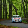 Peugeot 208 R2 - Rallye du Limousin - 208 Rally Cup France 2014