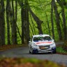 Peugeot 208 R2 - Rallye du Limousin - 208 Rally Cup France 2014