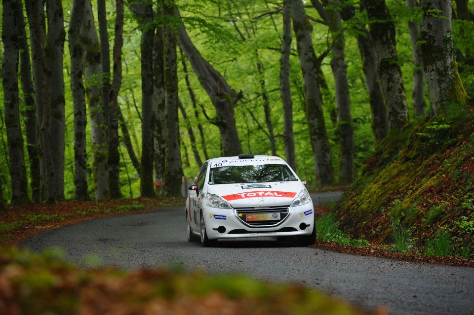 Peugeot 208 R2 - Rallye du Limousin - 208 Rally Cup France 2014