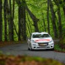 Peugeot 208 R2 - Rallye du Limousin - 208 Rally Cup France 2014