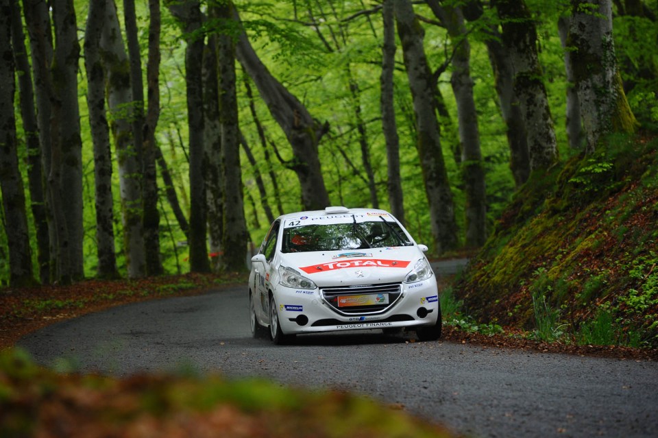 Peugeot 208 R2 - Rallye du Limousin - 208 Rally Cup France 2014