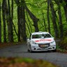 Peugeot 208 R2 - Rallye du Limousin - 208 Rally Cup France 2014