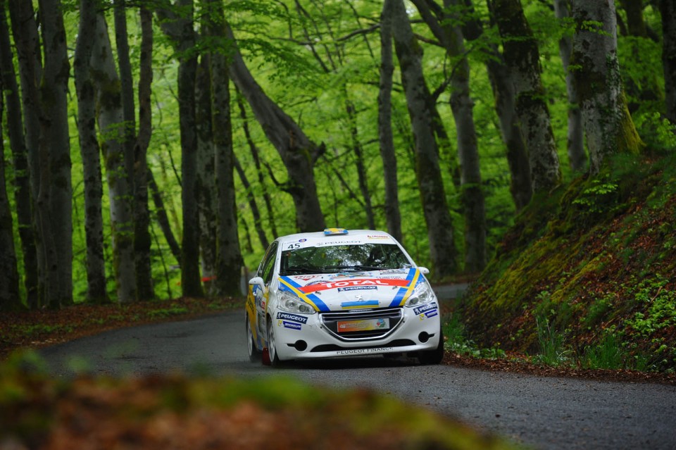 Peugeot 208 R2 - Rallye du Limousin - 208 Rally Cup France 2014