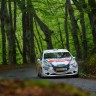 Peugeot 208 R2 - Rallye du Limousin - 208 Rally Cup France 2014