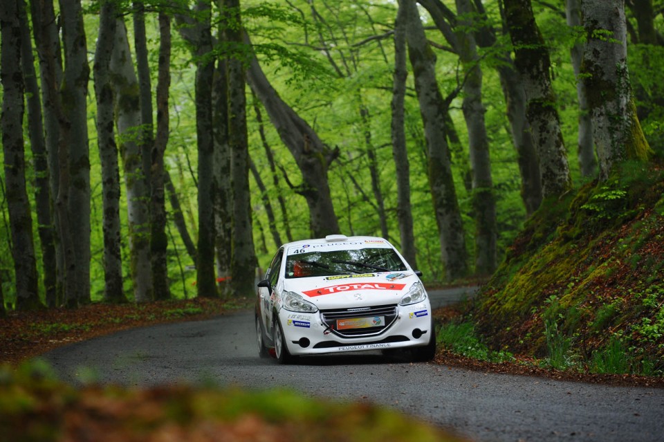 Peugeot 208 R2 - Rallye du Limousin - 208 Rally Cup France 2014