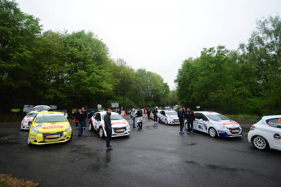 Peugeot 208 R2 - Rallye du Limousin - 208 Rally Cup France 2014