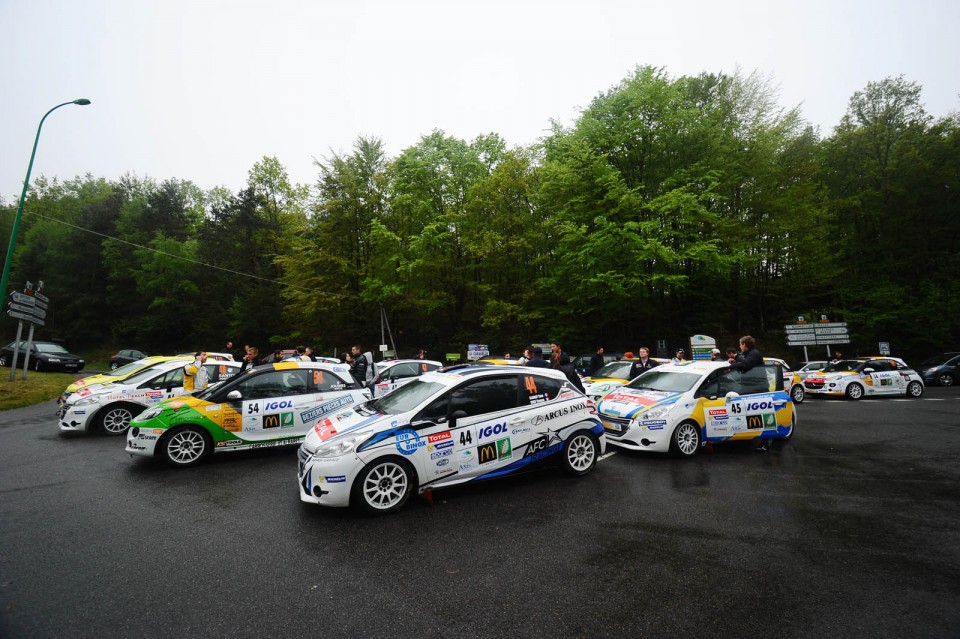 Peugeot 208 R2 - Rallye du Limousin - 208 Rally Cup France 2014