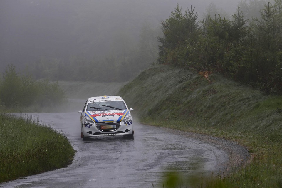 Peugeot 208 R2 - Rallye du Limousin - 208 Rally Cup France 2014