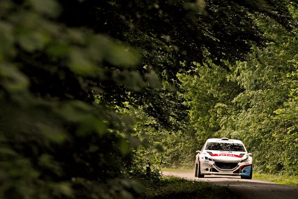 Peugeot 208 T16 - Rallye d'Ypres 2013 - 042