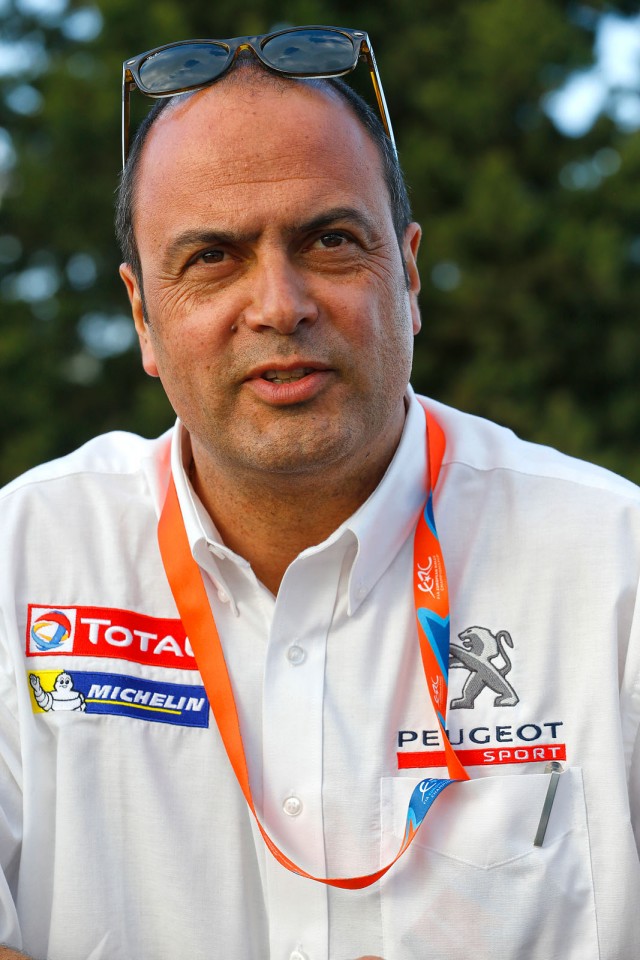 Peugeot 208 T16 - Rallye de l'Acropole 2014 (Grèce / ERC)