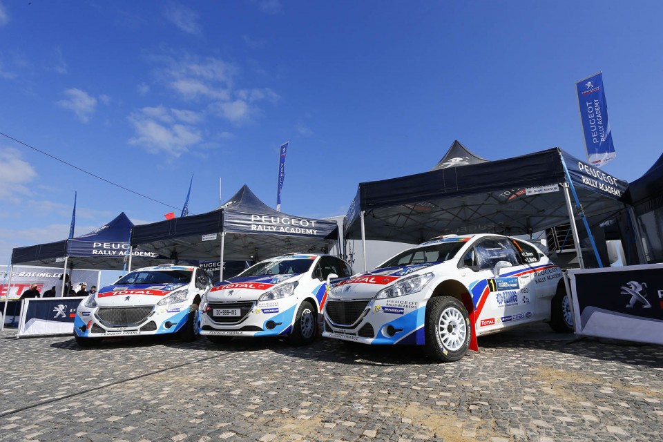 Peugeot 208 T16 - Rallye des Acores 2014 (ERC)