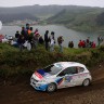 Peugeot 208 T16 - Rallye des Acores 2014 (ERC)