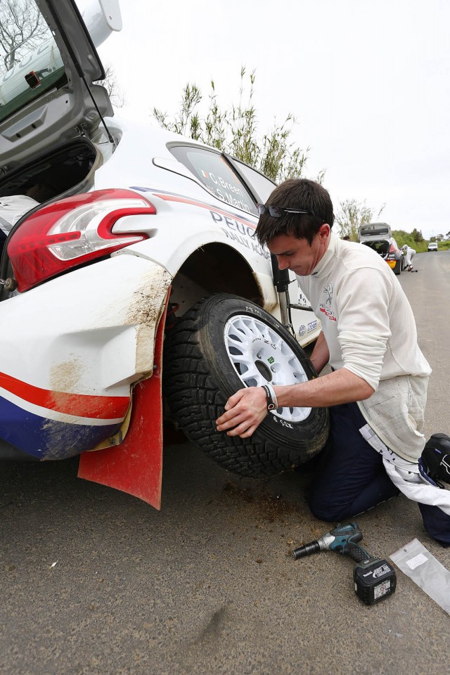 Peugeot 208 T16 - Rallye des Acores 2014 (ERC)