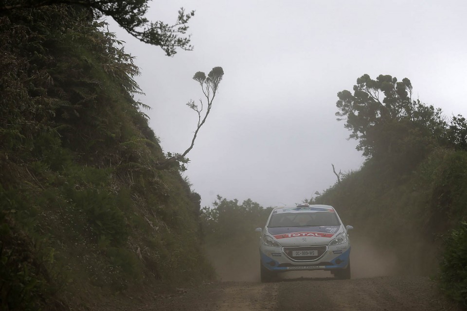 Peugeot 208 T16 - Rallye des Acores 2014 (ERC)