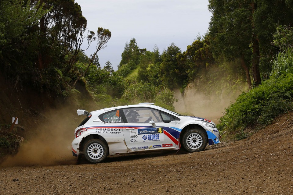 Peugeot 208 T16 - Rallye des Acores 2014 (ERC)