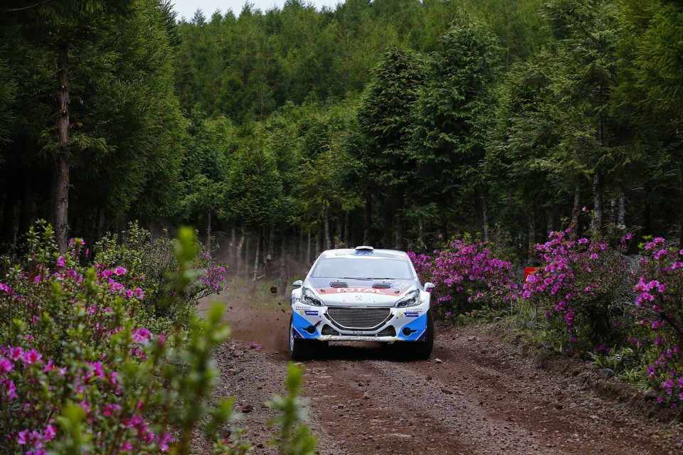 Peugeot 208 T16 - Rallye des Acores 2014 (ERC)