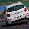 Peugeot 208 Racing Cup - RPS 2013 - Magny-Cours (3/6) - Juillet 2013 - 1-029