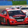 Peugeot 208 Racing Cup - RPS 2013 - Magny-Cours (3/6) - Juillet 2013 - 1-046