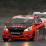 Photo Peugeot 208 Racing Cup