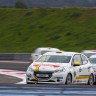 Peugeot 208 Racing Cup - RPS 2013 - Paul Ricard (6/6) - Novembre 2013 - 1-061