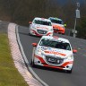 Peugeot 208 Racing Cup - Nürburgring VLN 2 (VLN 2013) - 004