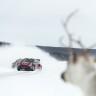 Sebastien Loeb and Timmy Hansen