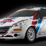 Peugeot 208 R2 - Racing Lions / Peugeot Italia - 2014