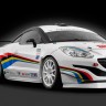 Peugeot RCZ R Cup - Racing Lions / Peugeot Italia - 2014