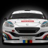 Photo Peugeot 208 RCZ R Cup (2014) - Racing Lions