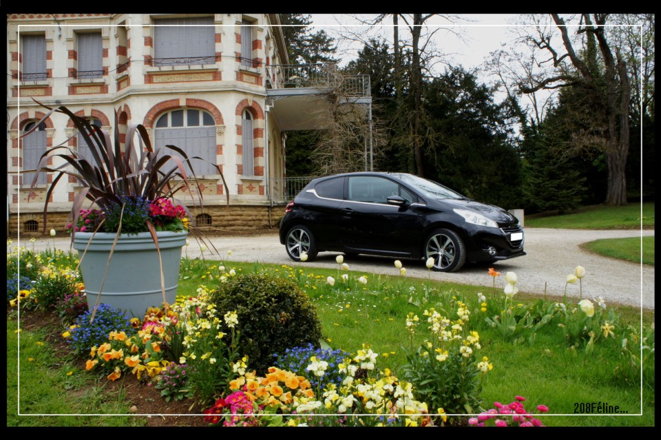 [208Féline] Peugeot 208 Féline 1.6 e-HDi 115 Noir Obsidien 3p - 001