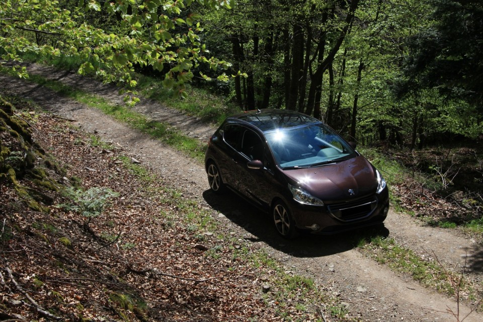 [joe2097] Peugeot 208 Féline 1.6 e-HDi 115 Rouge Noir 3p - 003