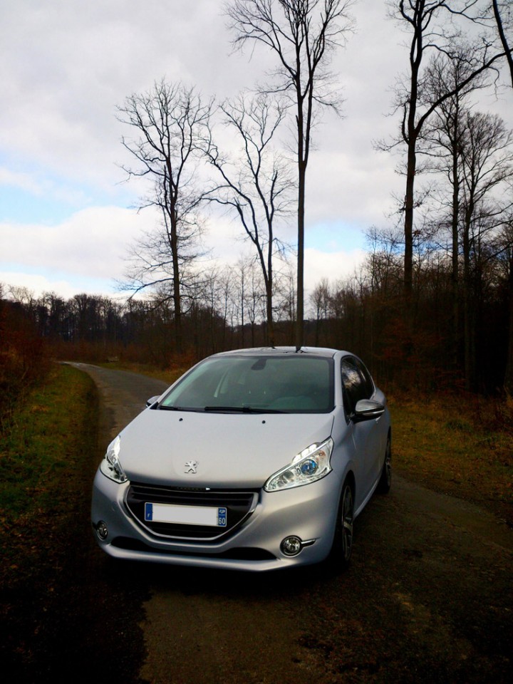 [shone_asm] Peugeot 208 Ice Velvet Limited Edition 1.6 e-HDi 115 3p - 033